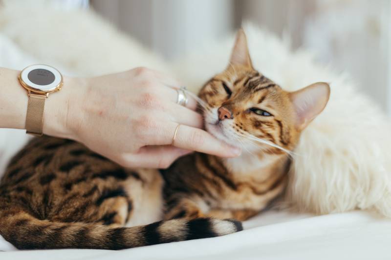 f:id:goolegleu:20190128195724j:plain f:id:goolegleu:20190128195724j:plain