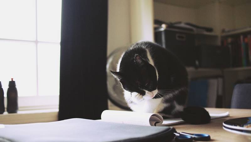 f:id:goolegleu:20190128201608j:plain f:id:goolegleu:20190128201608j:plain