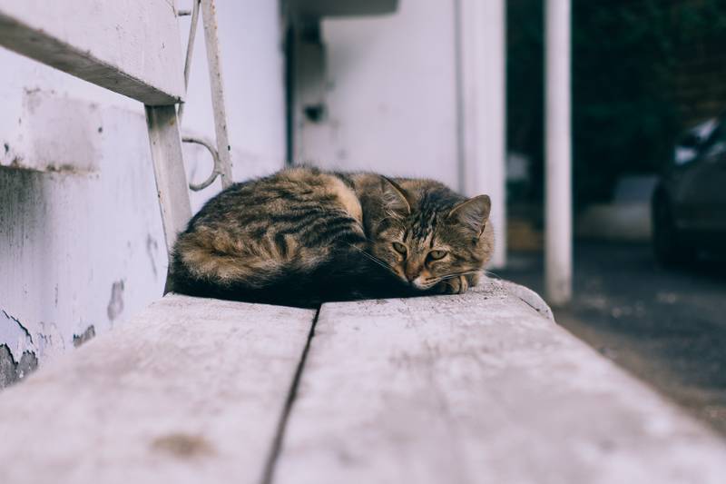 f:id:goolegleu:20190128212427j:plain f:id:goolegleu:20190128212427j:plain