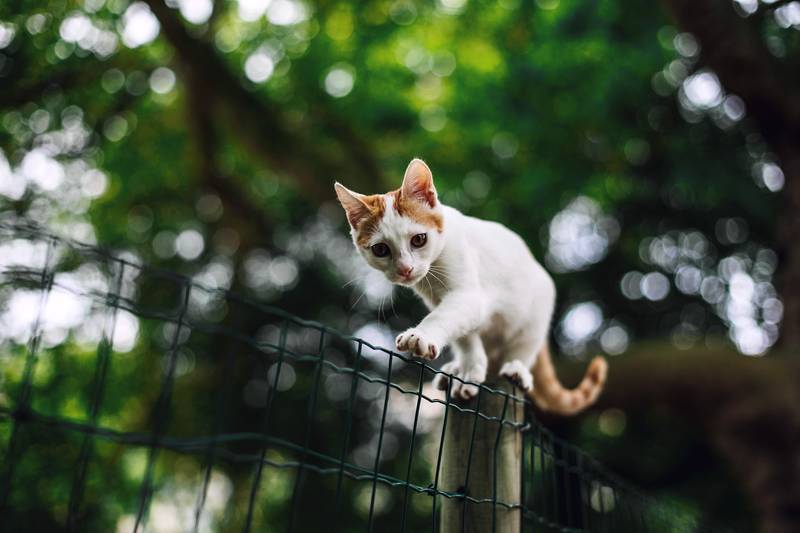 f:id:goolegleu:20190128212547j:plain f:id:goolegleu:20190128212547j:plain