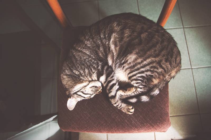 f:id:goolegleu:20190128222922j:plain f:id:goolegleu:20190128222922j:plain