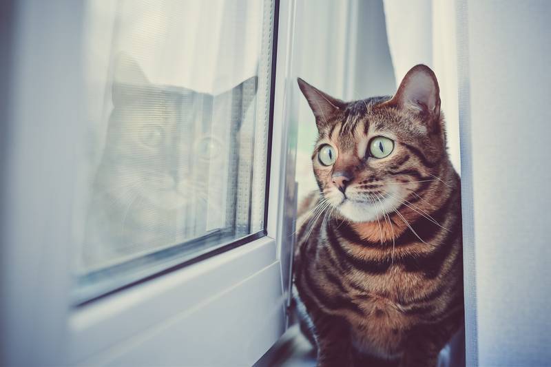 f:id:goolegleu:20190304191801j:plain f:id:goolegleu:20190304191801j:plain