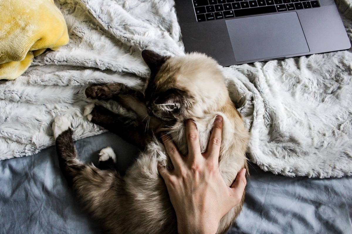 f:id:goolegleu:20190422195056j:plain f:id:goolegleu:20190422195056j:plain