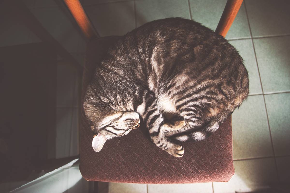f:id:goolegleu:20190517200710j:plain f:id:goolegleu:20190517200710j:plain