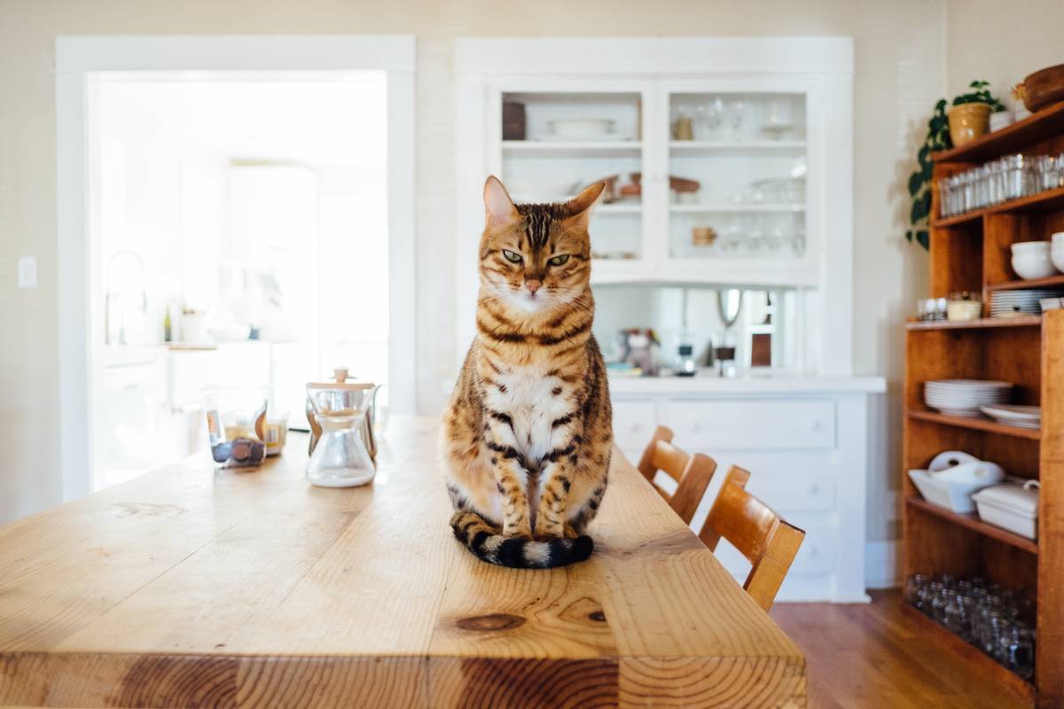 f:id:goolegleu:20190517200722j:plain f:id:goolegleu:20190517200722j:plain