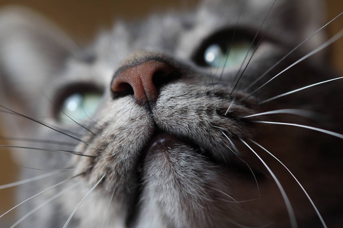 f:id:goolegleu:20190621201436j:plain f:id:goolegleu:20190621201436j:plain