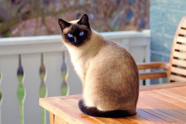 f:id:goolegleu:20191117212515j:plain f:id:goolegleu:20191117212515j:plain