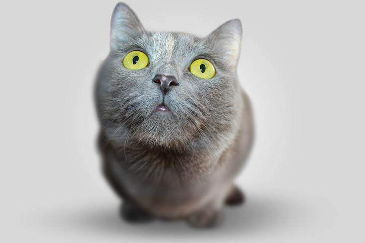 f:id:goolegleu:20191213195021j:plain f:id:goolegleu:20191213195021j:plain