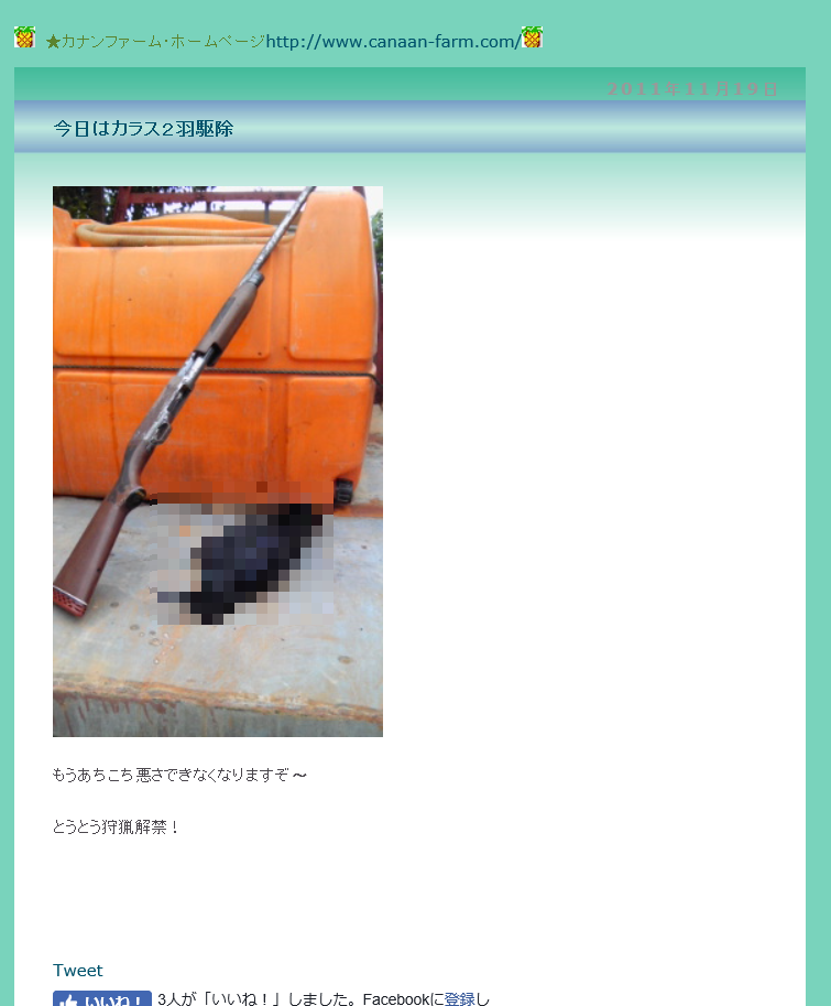 f:id:goopunch:20171213095830p:plain f:id:goopunch:20171213095830p:plain