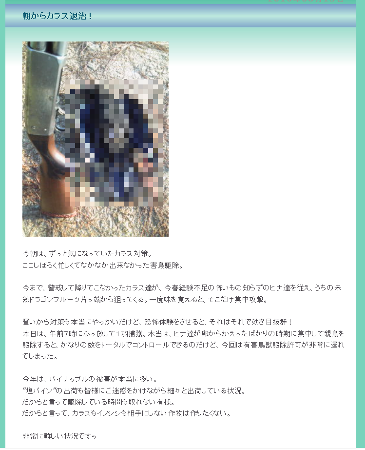 f:id:goopunch:20171213095840p:plain f:id:goopunch:20171213095840p:plain