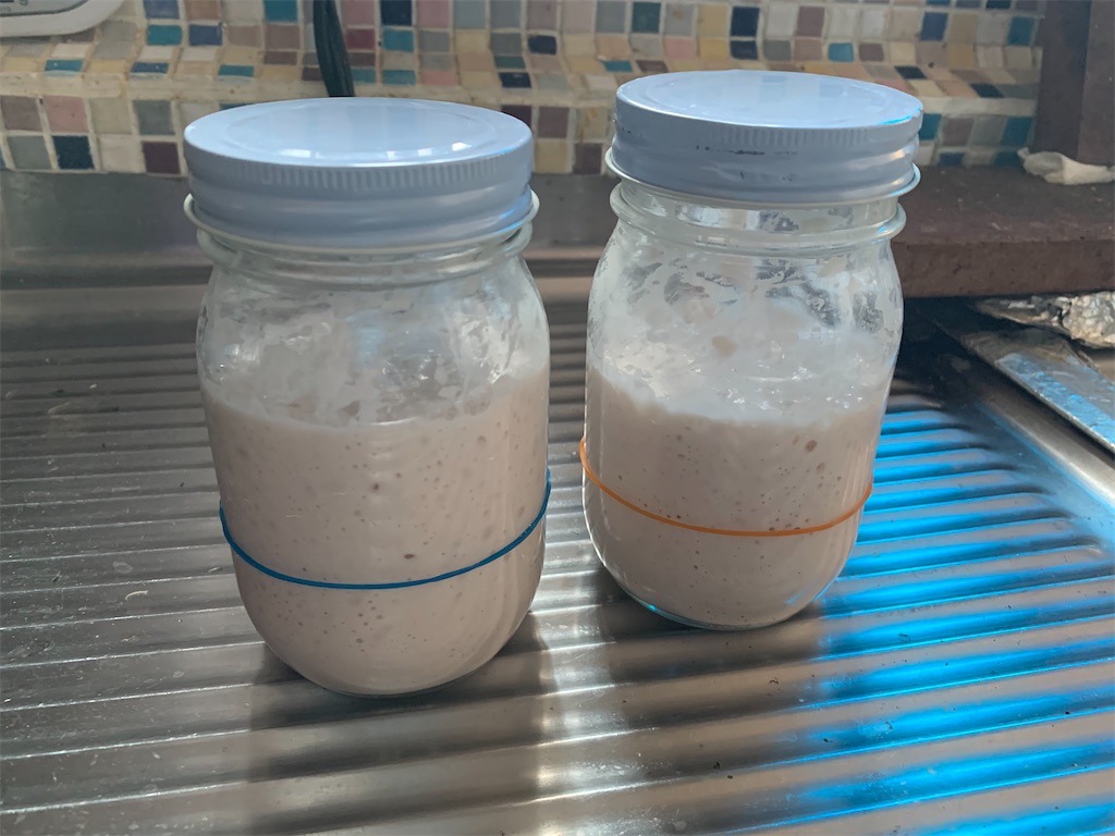 f:id:goororo:20230919132157j:image f:id:goororo:20230919132157j:image