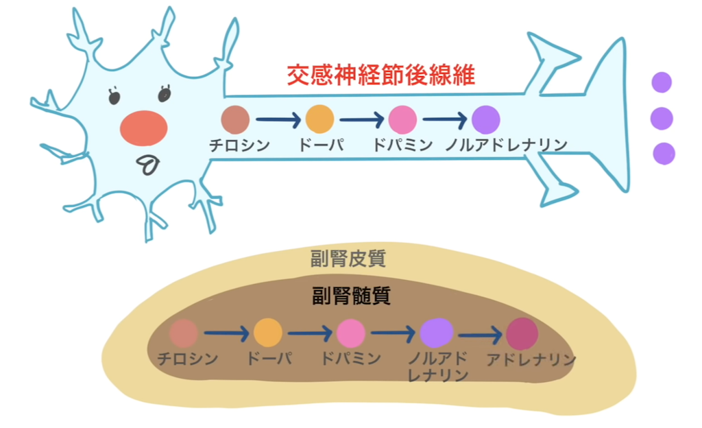 f:id:goororo:20230930171037p:image