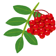 f:id:gootimizu:20201027124556p:plain
