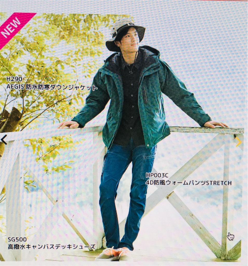 f:id:gootimizu:20201220061705j:image