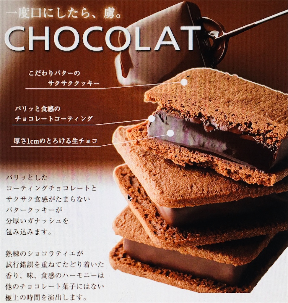 f:id:gootimizu:20210313100138j:image