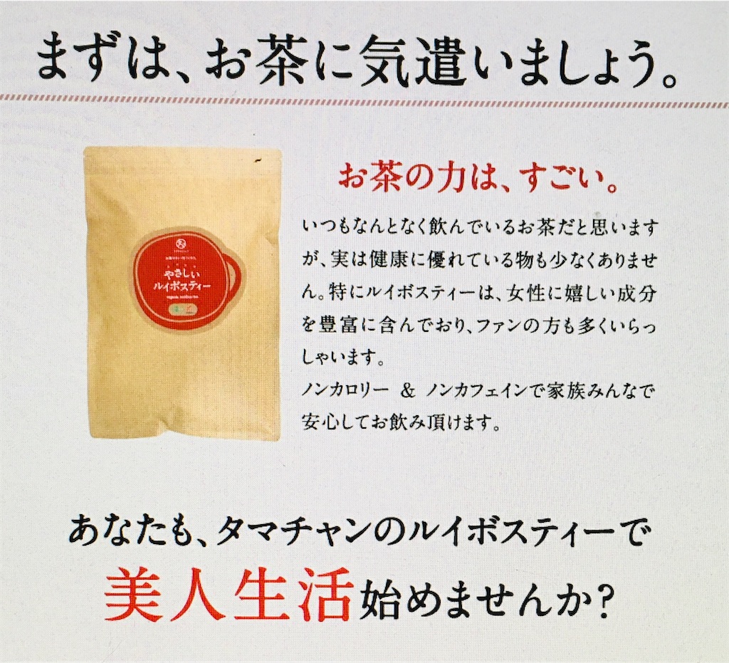 f:id:gootimizu:20210322200806j:image