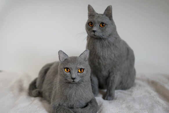 微笑みの猫「シャルトリュー」羊毛フェルトオーダー作品 - 羊毛 ...