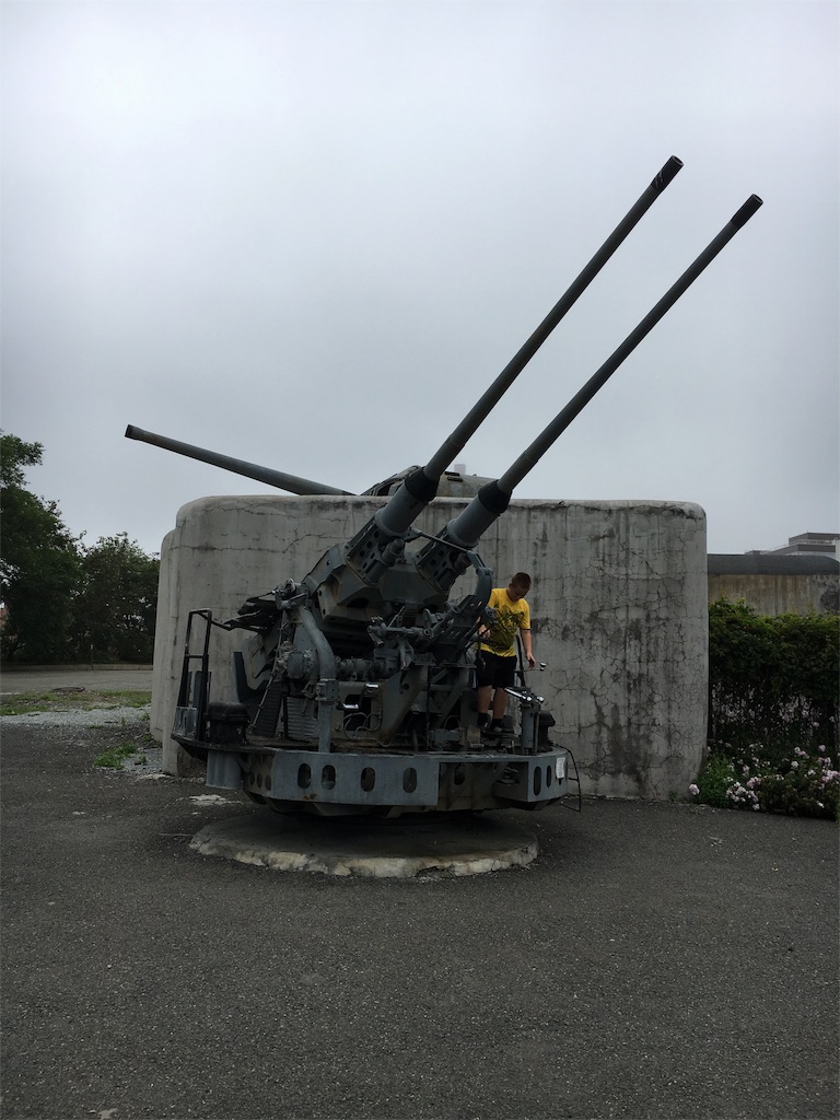 f:id:gora1227:20160902095421j:image