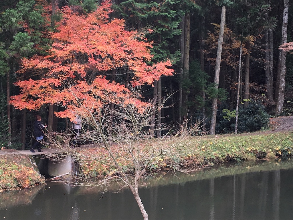 f:id:gora1227:20161130180711j:image