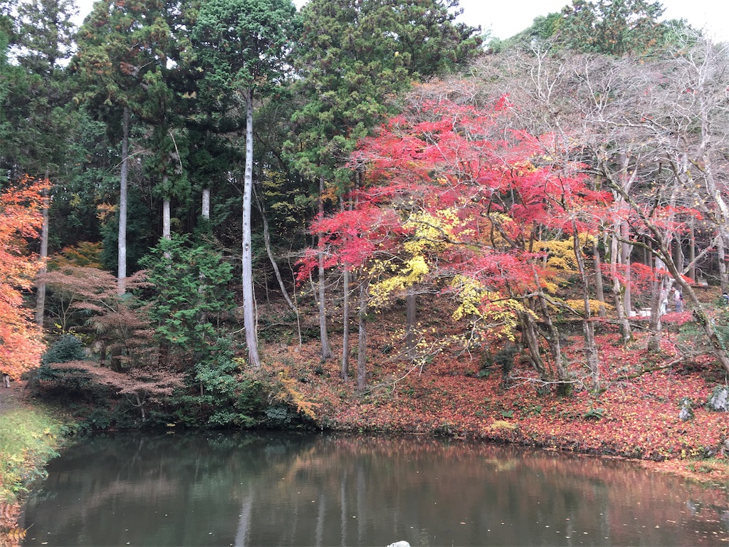 f:id:gora1227:20161130221320j:image