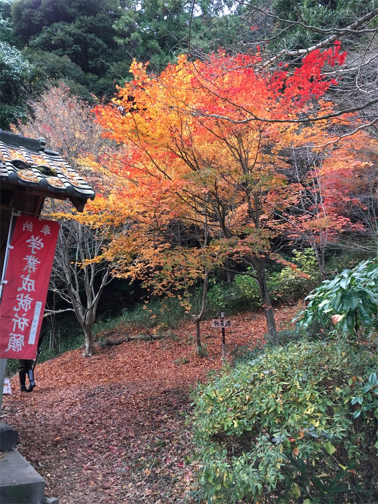 f:id:gora1227:20161203103622j:image