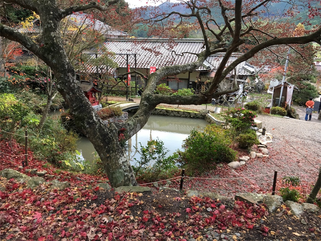 f:id:gora1227:20161203103636j:image