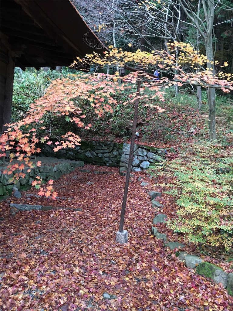 f:id:gora1227:20161203103642j:image