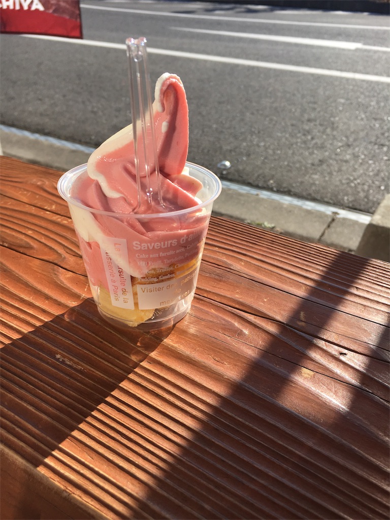 f:id:gora1227:20170110220200j:image