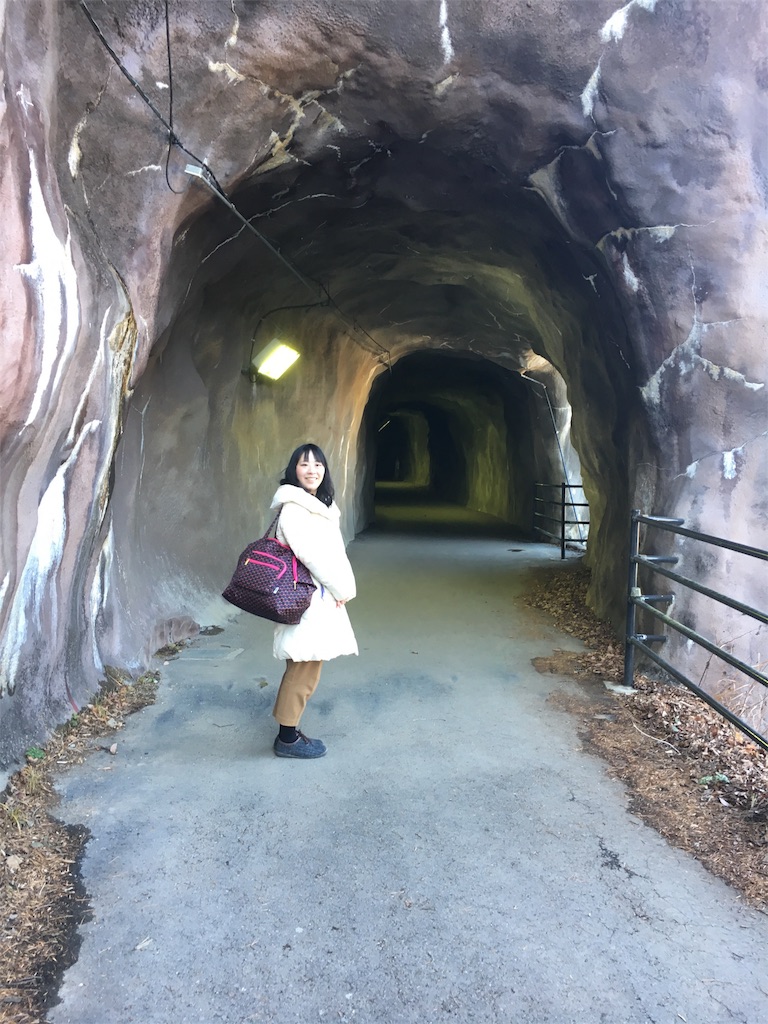 f:id:gora1227:20170111103559j:image