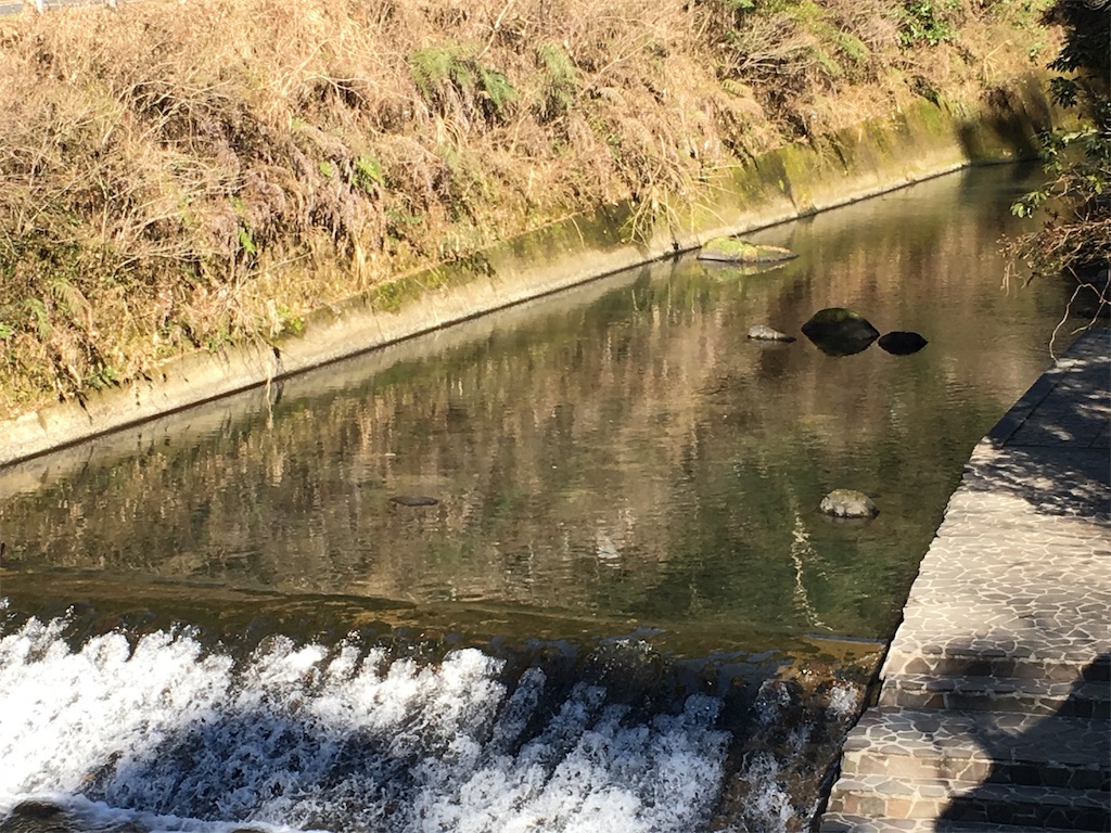 f:id:gora1227:20170226224348j:image