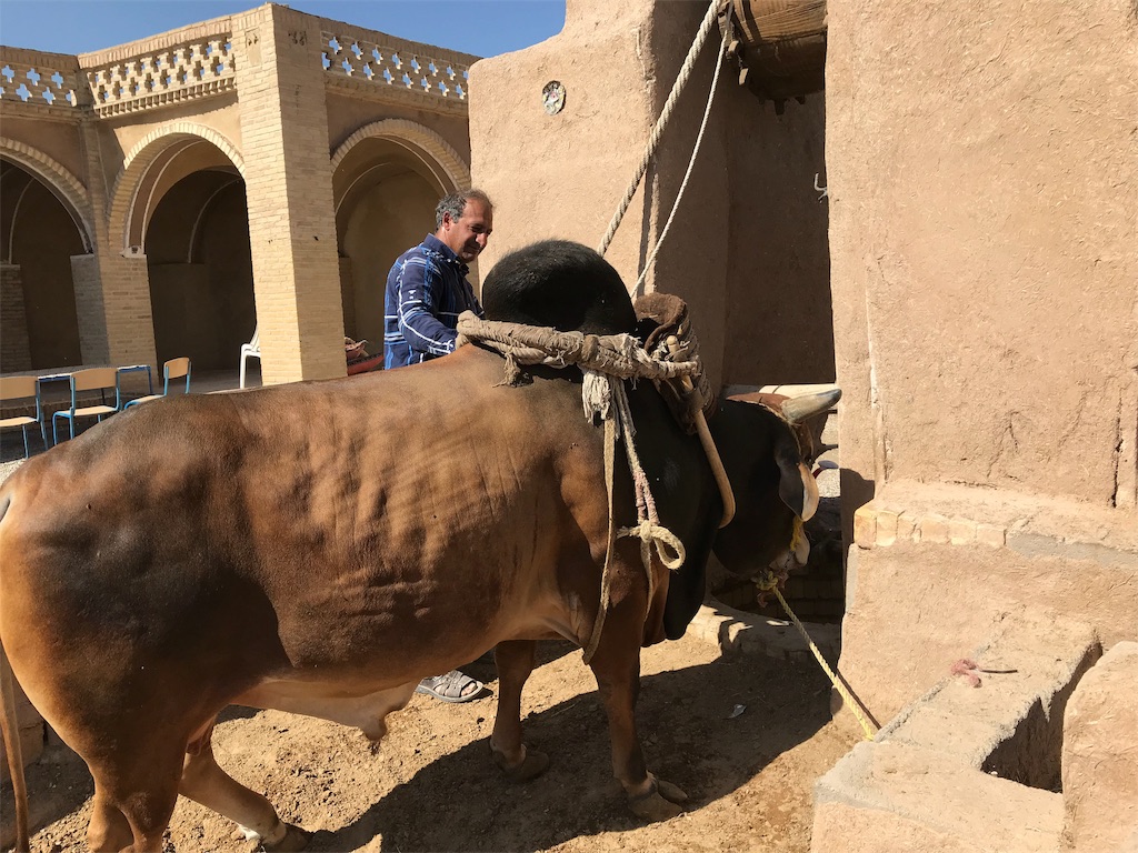 f:id:gorbeyuu:20181013021822j:image f:id:gorbeyuu:20181013021822j:image