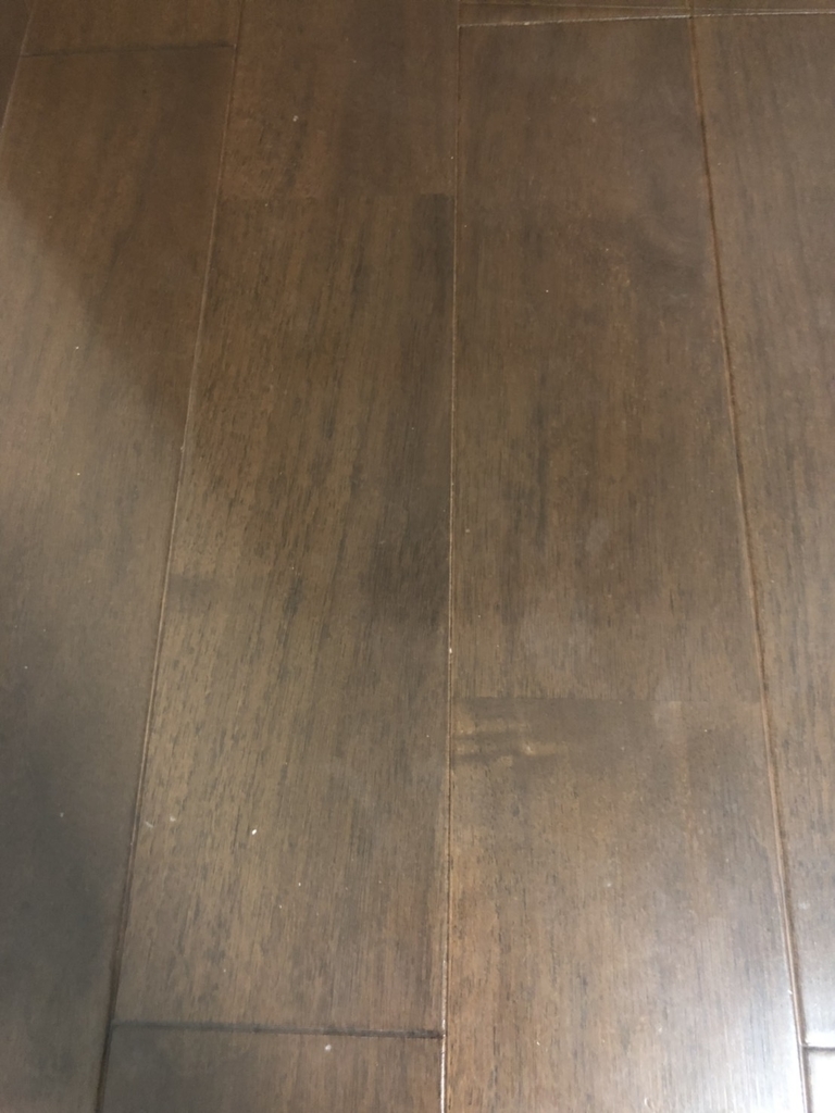 f:id:gorei_108:20190219104233j:plain f:id:gorei_108:20190219104233j:plain