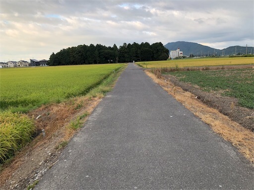 f:id:gorey08:20230928195748j:image f:id:gorey08:20230928195748j:image