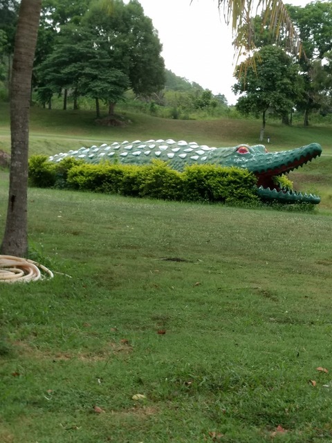 2017GWpattaya00214