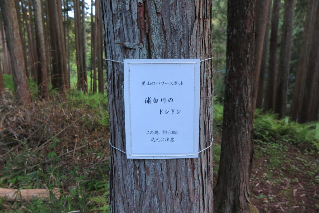 f:id:goriboo5050:20170513063322j:plain f:id:goriboo5050:20170513063322j:plain