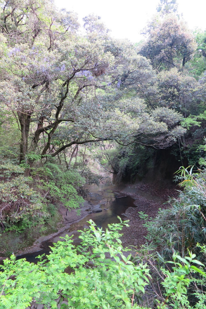 f:id:goriboo5050:20170513063515j:plain f:id:goriboo5050:20170513063515j:plain