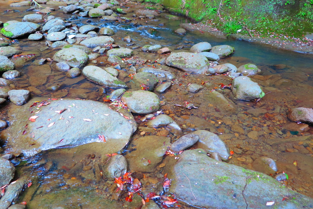 f:id:goriboo5050:20170513063613j:plain f:id:goriboo5050:20170513063613j:plain