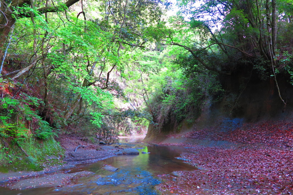 f:id:goriboo5050:20170513071618j:plain f:id:goriboo5050:20170513071618j:plain