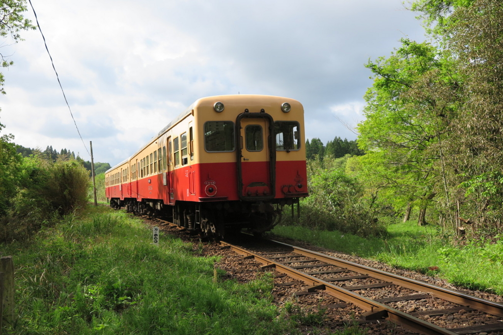 f:id:goriboo5050:20170513072800j:plain f:id:goriboo5050:20170513072800j:plain