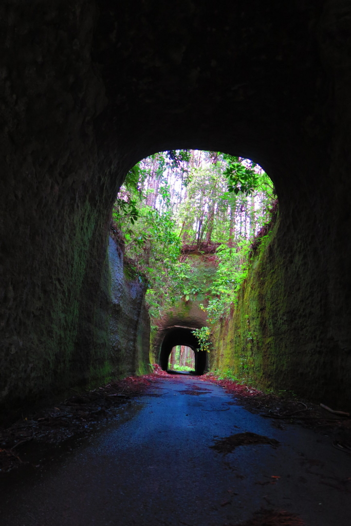 f:id:goriboo5050:20170513073438j:plain f:id:goriboo5050:20170513073438j:plain