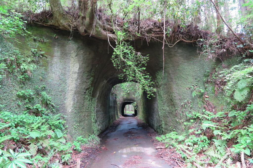 f:id:goriboo5050:20170513074400j:plain f:id:goriboo5050:20170513074400j:plain