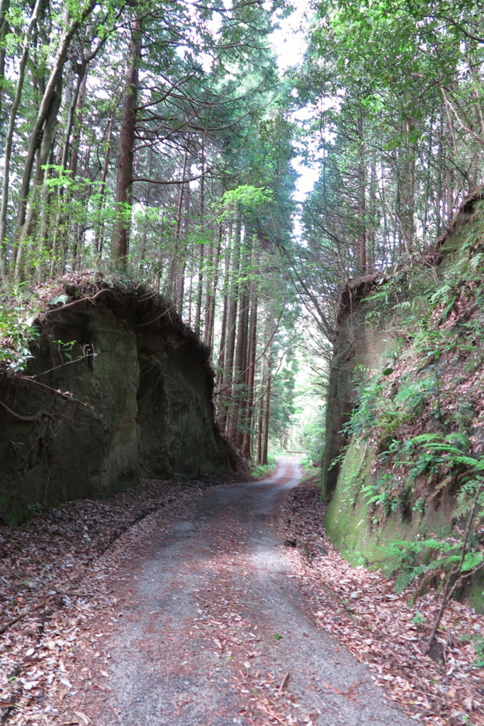 f:id:goriboo5050:20170513074543j:plain f:id:goriboo5050:20170513074543j:plain