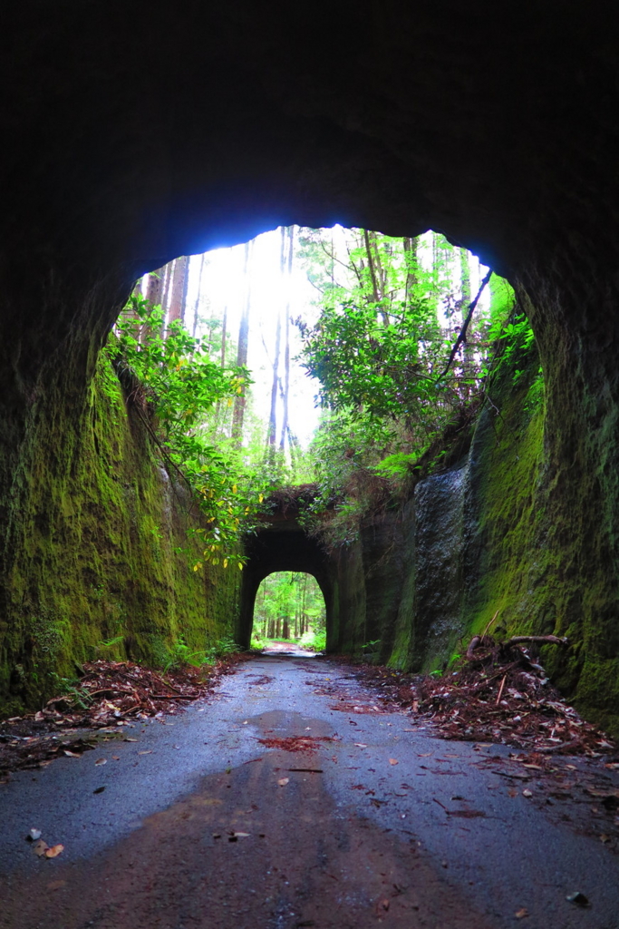 f:id:goriboo5050:20170513074744j:plain f:id:goriboo5050:20170513074744j:plain