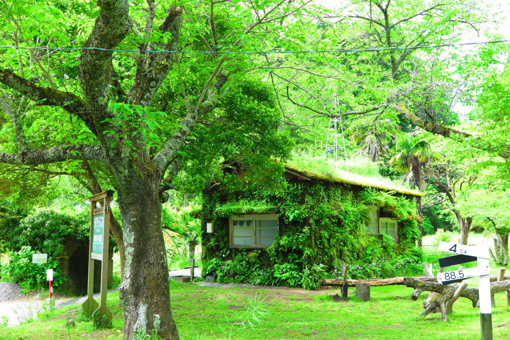 f:id:goriboo5050:20170513074953j:plain f:id:goriboo5050:20170513074953j:plain