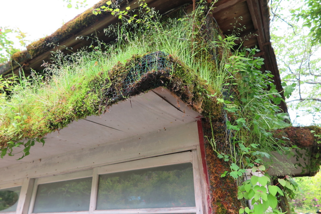 f:id:goriboo5050:20170513075241j:plain f:id:goriboo5050:20170513075241j:plain