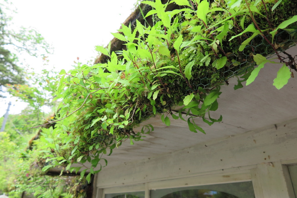 f:id:goriboo5050:20170513075306j:plain f:id:goriboo5050:20170513075306j:plain