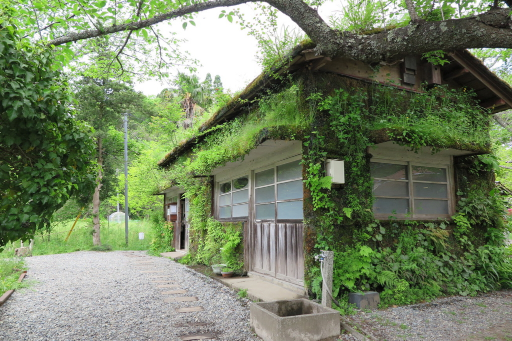 f:id:goriboo5050:20170513075404j:plain f:id:goriboo5050:20170513075404j:plain