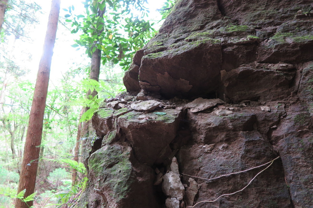 f:id:goriboo5050:20170513081746j:plain f:id:goriboo5050:20170513081746j:plain