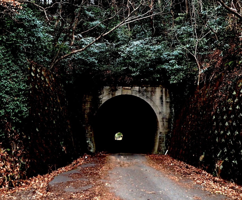 f:id:goriboo5050:20180401125840j:plain