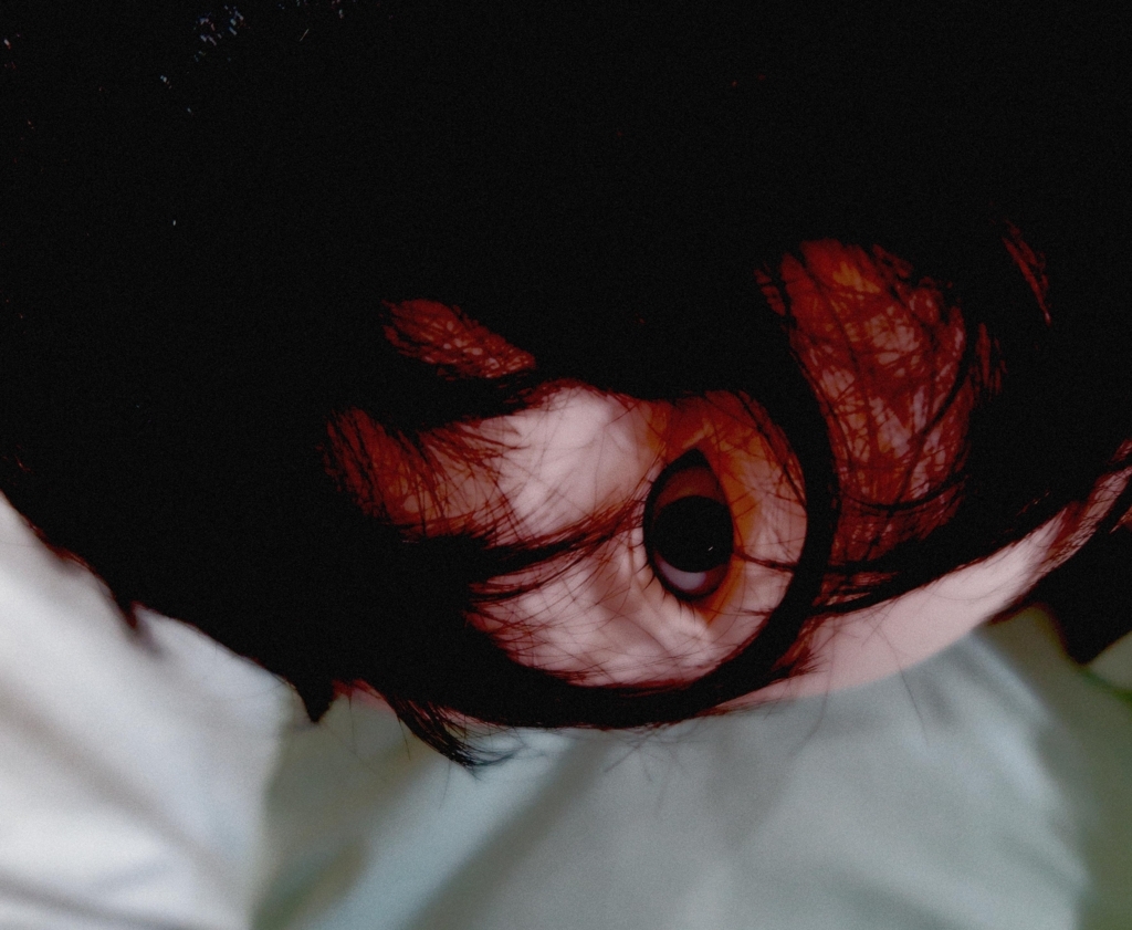 f:id:goriboo5050:20180401130246j:plain